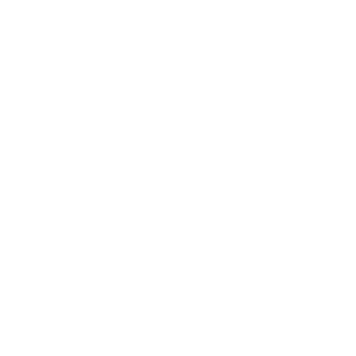 Burger icon