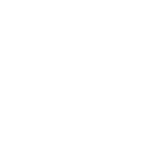 Language icon